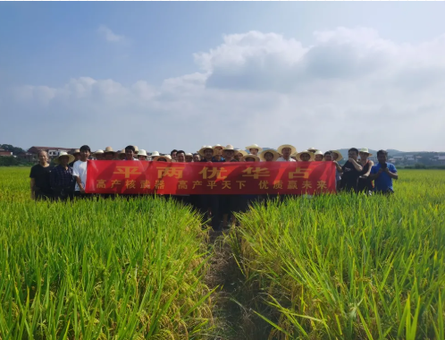 新兴隆，新气象，新未来——记平两优华占衡东观摩预订会