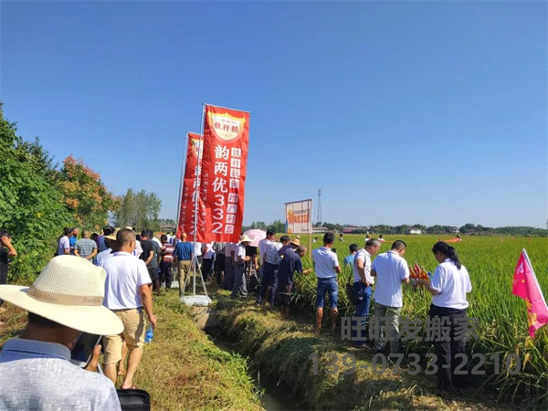 新兴隆，新气象，新未来——记兴隆湖南韵两优332省级观摩会在常德汉寿圆满召开