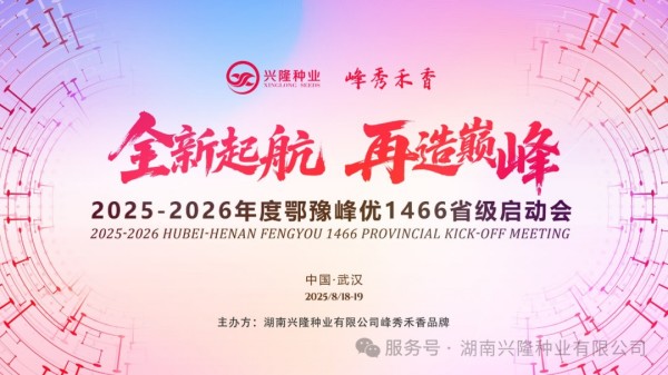 峰秀禾香-鄂豫丨2025-2026年度“峰优1466”省级市场启动及管控会召开