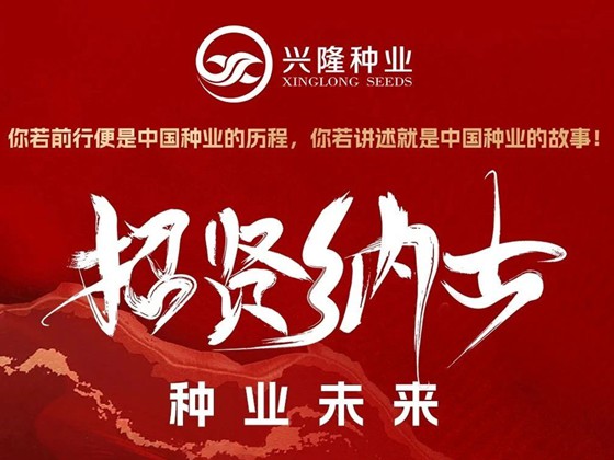 兴隆种业高薪纳贤｜携手耕耘共创丰景湖南兴隆种业深耕农业科技，现开启黄金招聘季！