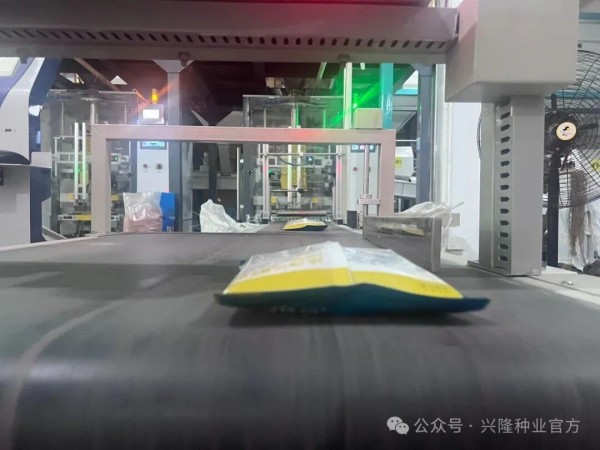 新线投产！您的订单，我们“产”得出、“交”得快！