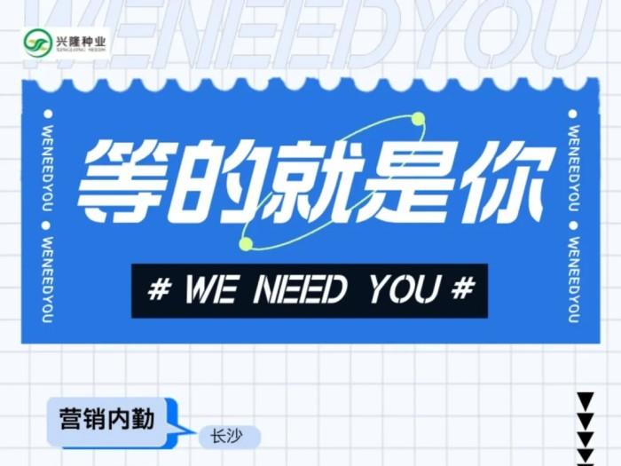 社招丨为每粒种子寻找伯乐：兴隆种业诚聘懂农业的营销内勤