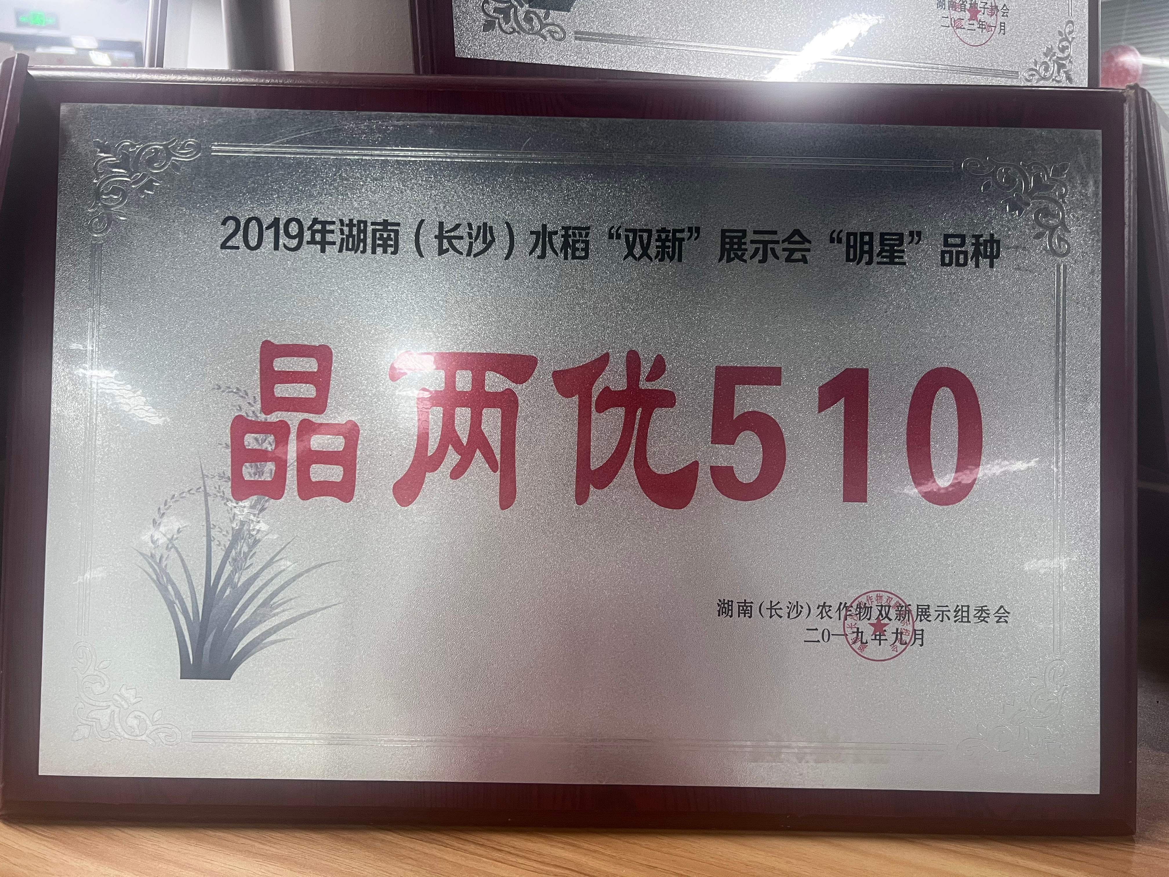 湖南(长沙)水稻“双新”展示会“明星”品种晶两优510