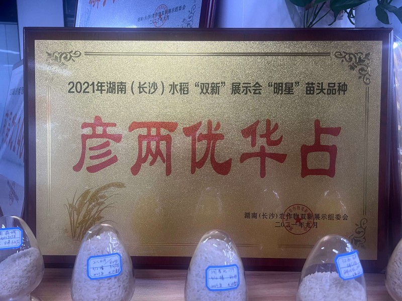 湖南(长沙)水稻“双新”展示会“明星”苗头品种彦两优华占