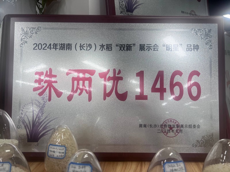 湖南(长沙)水稻“双新”展示会“明星”品种珠两优1466