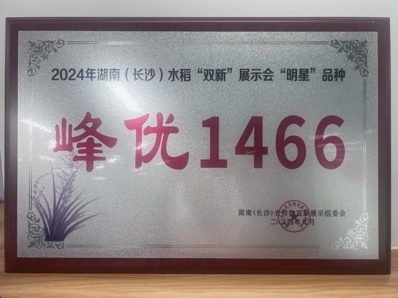 湖南(长沙)水稻“双新”展示会“明星”品种峰优1466
