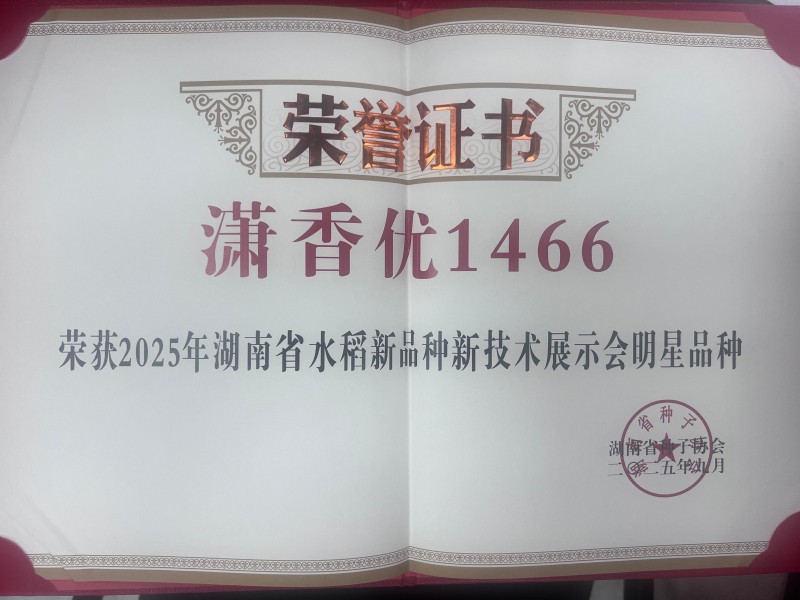 潇香优1466荣获2025年湖南省水稻新品种新技术展示会明星品种