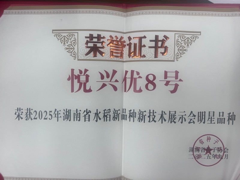 悦兴优8号荣获2025年湖南省水稻新品种新技术展示会明星品种