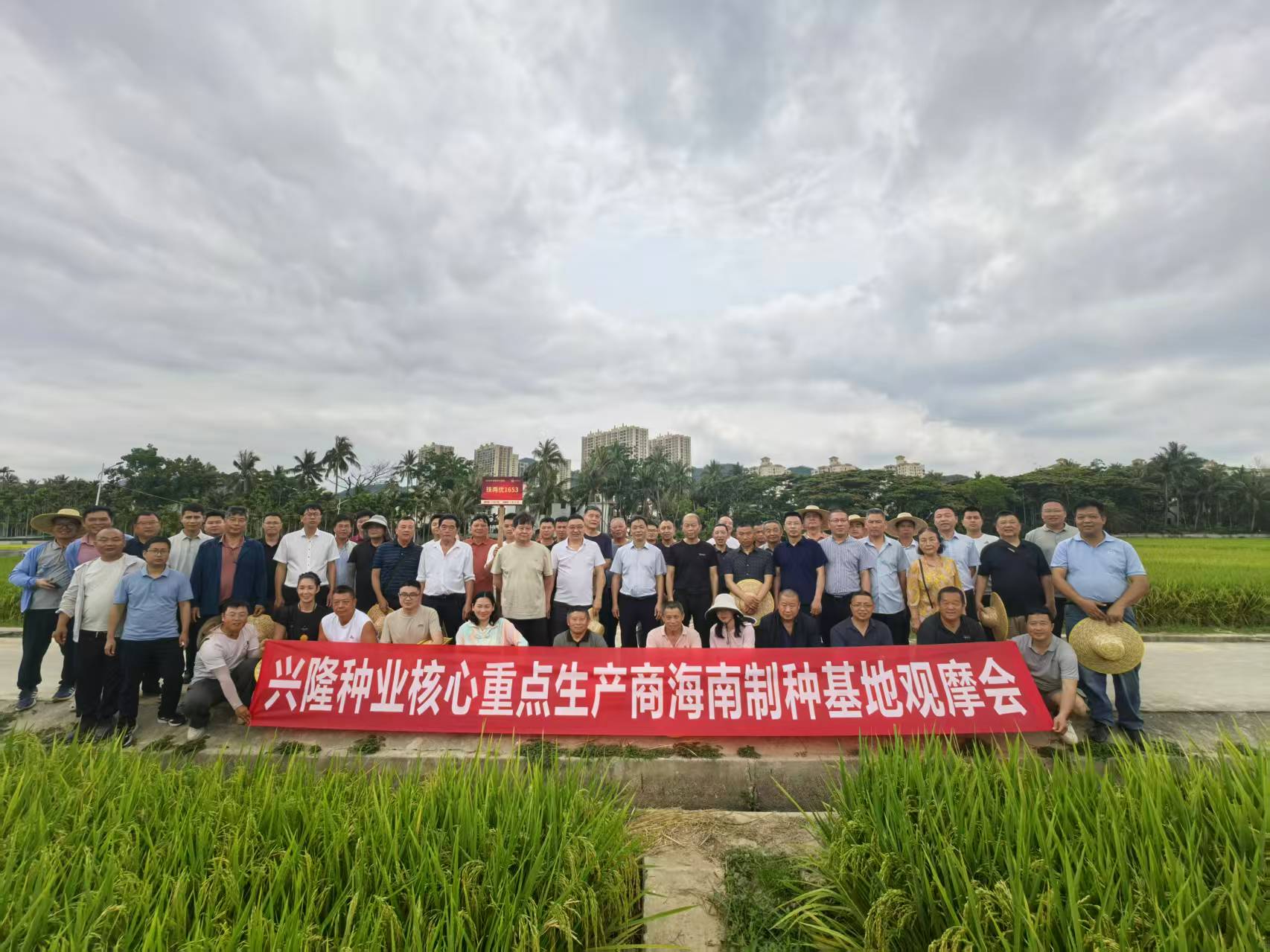 海南日报-共话良种未来 兴隆种业举办海南基地制种技术观摩与座谈会