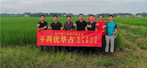 湖南兴隆种业有限公司,长沙稻谷种植与销售,长沙农作物品种的选育,长沙农业病虫害防治服务