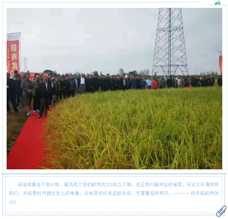 湖南逸华电源有限公司_直流屏定制厂家_UPS免维护铅酸蓄电池供应_电力模块厂商