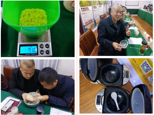 湖南兴隆种业有限公司,长沙稻谷种植与销售,长沙农作物品种的选育,长沙农业病虫害防治服务 湖南兴隆种业有限公司,长沙稻谷种植与销售,长沙农作物品种的选育,长沙农业病虫害防治服务