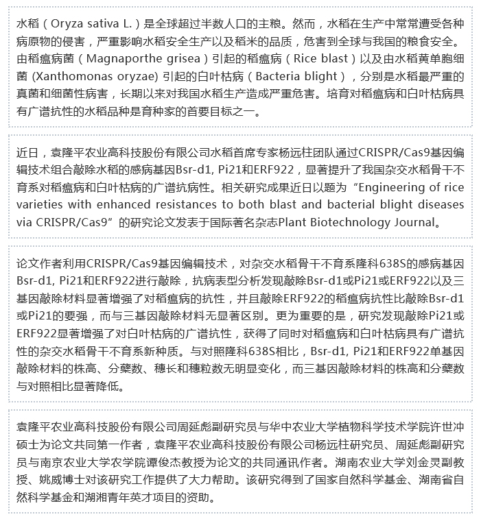 湖南兴隆种业有限公司,长沙稻谷种植与销售,长沙农作物品种的选育,长沙农业病虫害防治服务