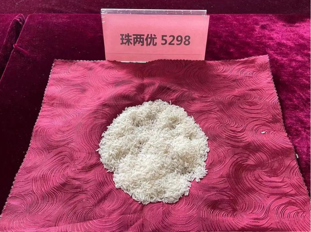 湖南兴隆种业有限公司,长沙稻谷种植与销售,长沙农作物品种的选育,长沙农业病虫害防治服务