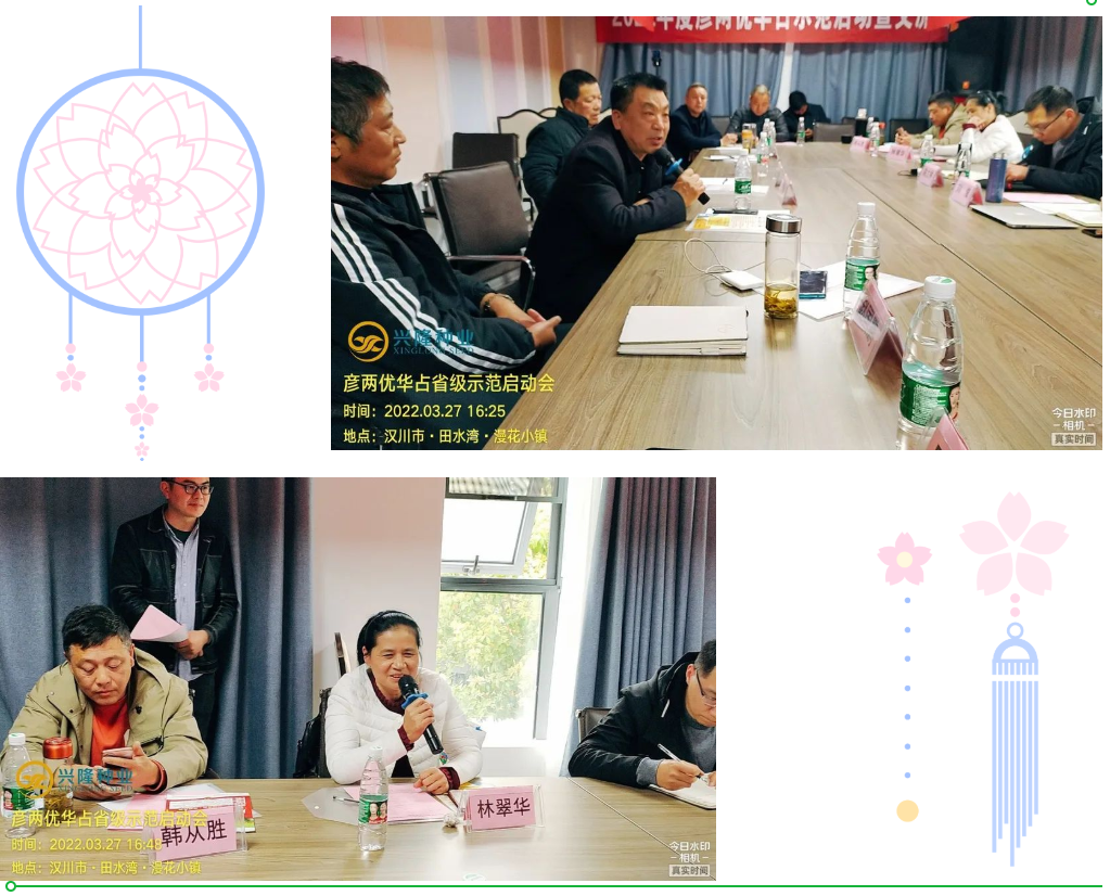 湖南兴隆种业有限公司,长沙稻谷种植与销售,长沙农作物品种的选育,长沙农业病虫害防治服务