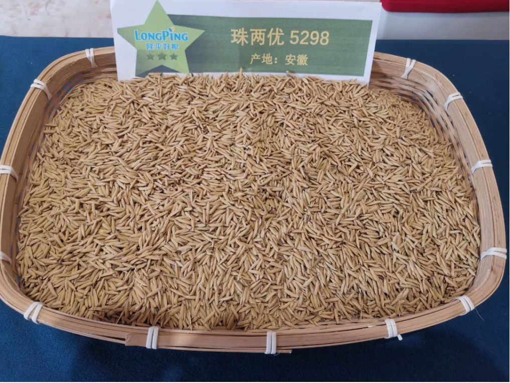 湖南兴隆种业有限公司,长沙稻谷种植与销售,长沙农作物品种的选育,长沙农业病虫害防治服务