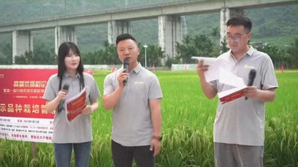 湖南兴隆种业有限公司,长沙稻谷种植与销售,长沙农作物品种的选育,长沙农业病虫害防治服务 湖南兴隆种业有限公司,长沙稻谷种植与销售,长沙农作物品种的选育,长沙农业病虫害防治服务