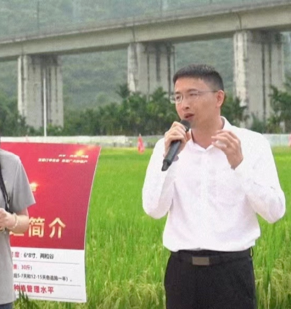 湖南兴隆种业有限公司,长沙稻谷种植与销售,长沙农作物品种的选育,长沙农业病虫害防治服务 湖南兴隆种业有限公司,长沙稻谷种植与销售,长沙农作物品种的选育,长沙农业病虫害防治服务