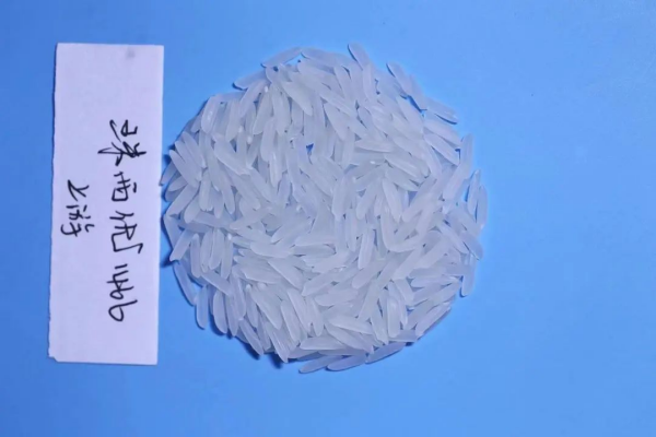 湖南兴隆种业有限公司,长沙稻谷种植与销售,长沙农作物品种的选育,长沙农业病虫害防治服务 湖南兴隆种业有限公司,长沙稻谷种植与销售,长沙农作物品种的选育,长沙农业病虫害防治服务