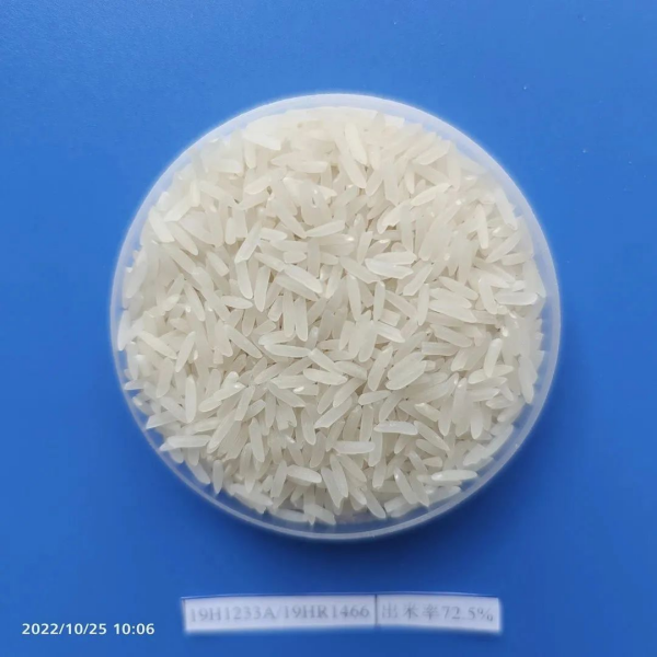 湖南兴隆种业有限公司,长沙稻谷种植与销售,长沙农作物品种的选育,长沙农业病虫害防治服务 湖南兴隆种业有限公司,长沙稻谷种植与销售,长沙农作物品种的选育,长沙农业病虫害防治服务