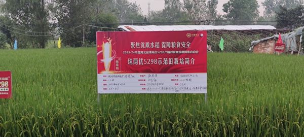 湖南兴隆种业有限公司,长沙稻谷种植与销售,长沙农作物品种的选育,长沙农业病虫害防治服务 湖南兴隆种业有限公司,长沙稻谷种植与销售,长沙农作物品种的选育,长沙农业病虫害防治服务