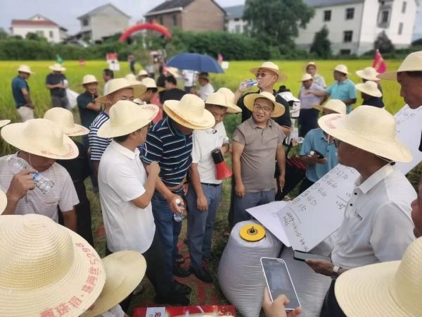 湖南兴隆种业有限公司,长沙稻谷种植与销售,长沙农作物品种的选育,长沙农业病虫害防治服务 湖南兴隆种业有限公司,长沙稻谷种植与销售,长沙农作物品种的选育,长沙农业病虫害防治服务