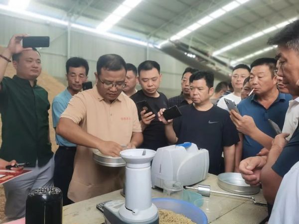 湖南兴隆种业有限公司,长沙稻谷种植与销售,长沙农作物品种的选育,长沙农业病虫害防治服务 湖南兴隆种业有限公司,长沙稻谷种植与销售,长沙农作物品种的选育,长沙农业病虫害防治服务