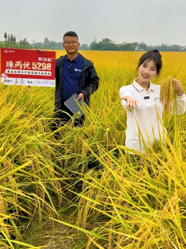 湖南兴隆种业有限公司,长沙稻谷种植与销售,长沙农作物品种的选育,长沙农业病虫害防治服务