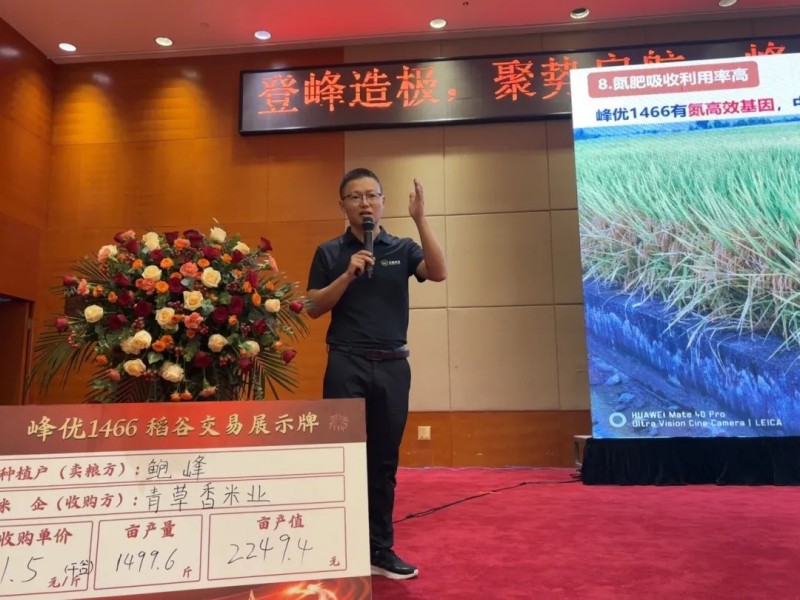 湖南兴隆种业有限公司,长沙稻谷种植与销售,长沙农作物品种的选育,长沙农业病虫害防治服务 湖南兴隆种业有限公司,长沙稻谷种植与销售,长沙农作物品种的选育,长沙农业病虫害防治服务