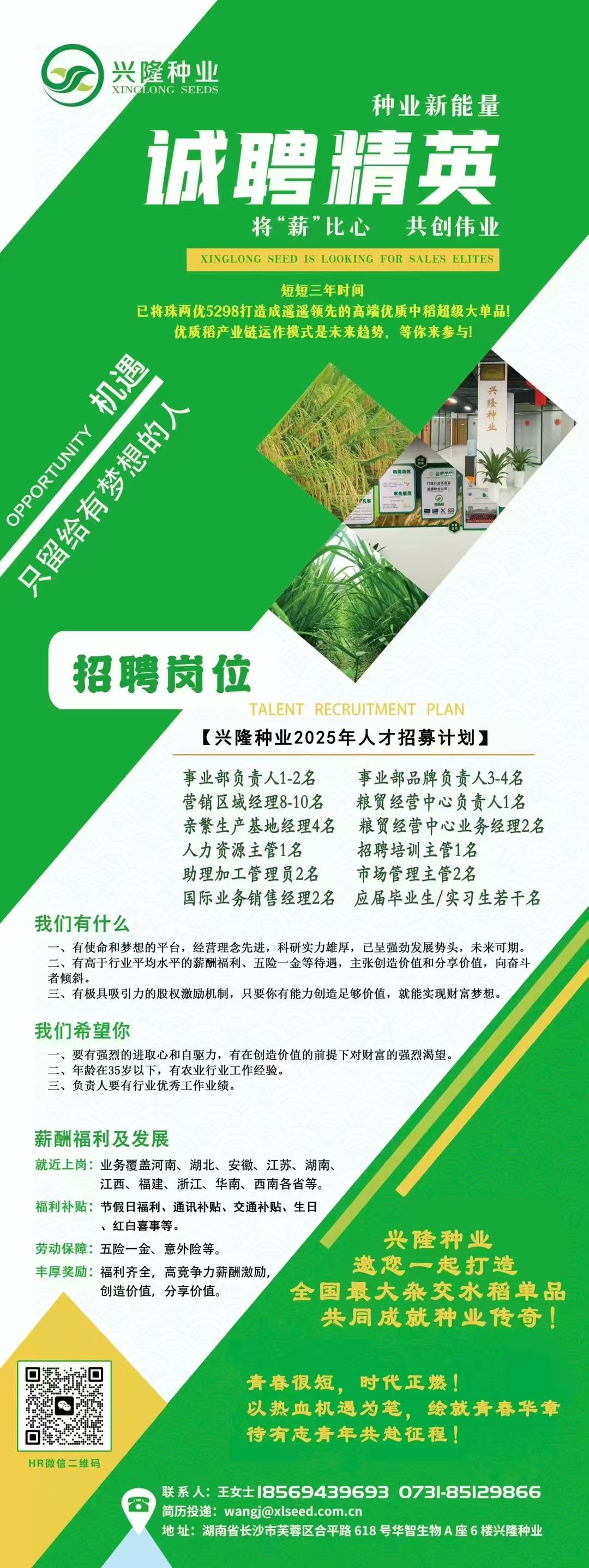 湖南兴隆种业有限公司,长沙稻谷种植与销售,长沙农作物品种的选育,长沙农业病虫害防治服务
