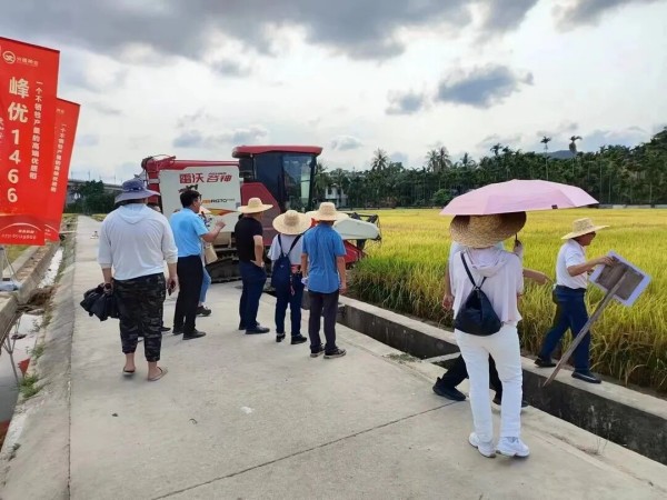 湖南兴隆种业有限公司,长沙稻谷种植与销售,长沙农作物品种的选育,长沙农业病虫害防治服务