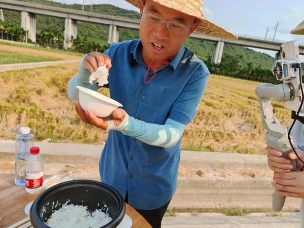 湖南兴隆种业有限公司,长沙稻谷种植与销售,长沙农作物品种的选育,长沙农业病虫害防治服务