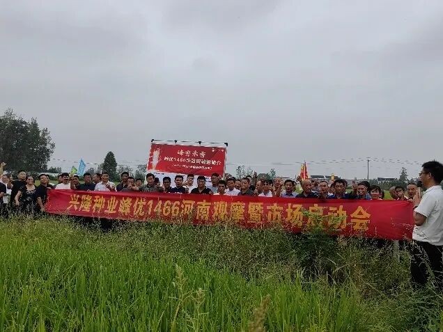 湖南兴隆种业有限公司,长沙稻谷种植与销售,长沙农作物品种的选育,长沙农业病虫害防治服务