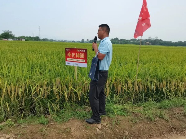 湖南兴隆种业有限公司,长沙稻谷种植与销售,长沙农作物品种的选育,长沙农业病虫害防治服务