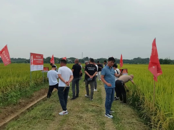 湖南兴隆种业有限公司,长沙稻谷种植与销售,长沙农作物品种的选育,长沙农业病虫害防治服务