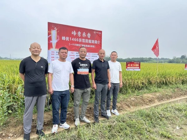 湖南兴隆种业有限公司,长沙稻谷种植与销售,长沙农作物品种的选育,长沙农业病虫害防治服务