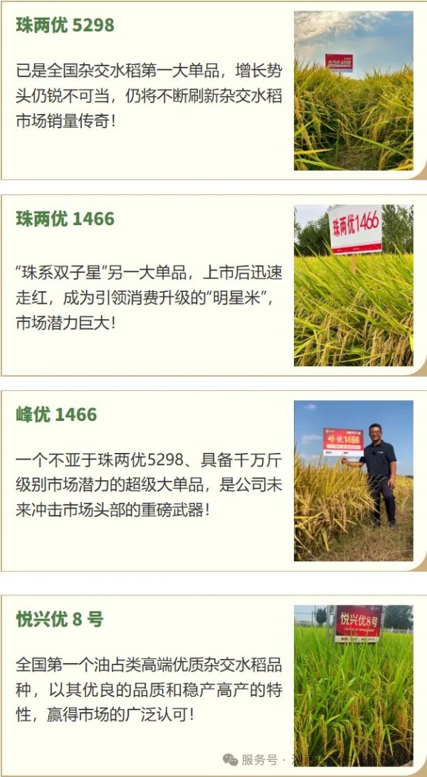 湖南兴隆种业有限公司,长沙稻谷种植与销售,长沙农作物品种的选育,长沙农业病虫害防治服务