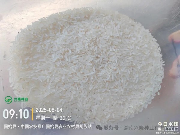 湖南兴隆种业有限公司,长沙稻谷种植与销售,长沙农作物品种的选育,长沙农业病虫害防治服务