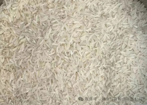 湖南兴隆种业有限公司,长沙稻谷种植与销售,长沙农作物品种的选育,长沙农业病虫害防治服务