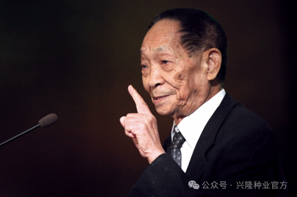 湖南兴隆种业有限公司,长沙稻谷种植与销售,长沙农作物品种的选育,长沙农业病虫害防治服务