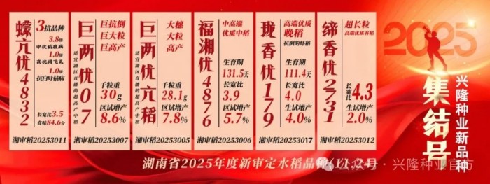 湖南兴隆种业有限公司,长沙稻谷种植与销售,长沙农作物品种的选育,长沙农业病虫害防治服务