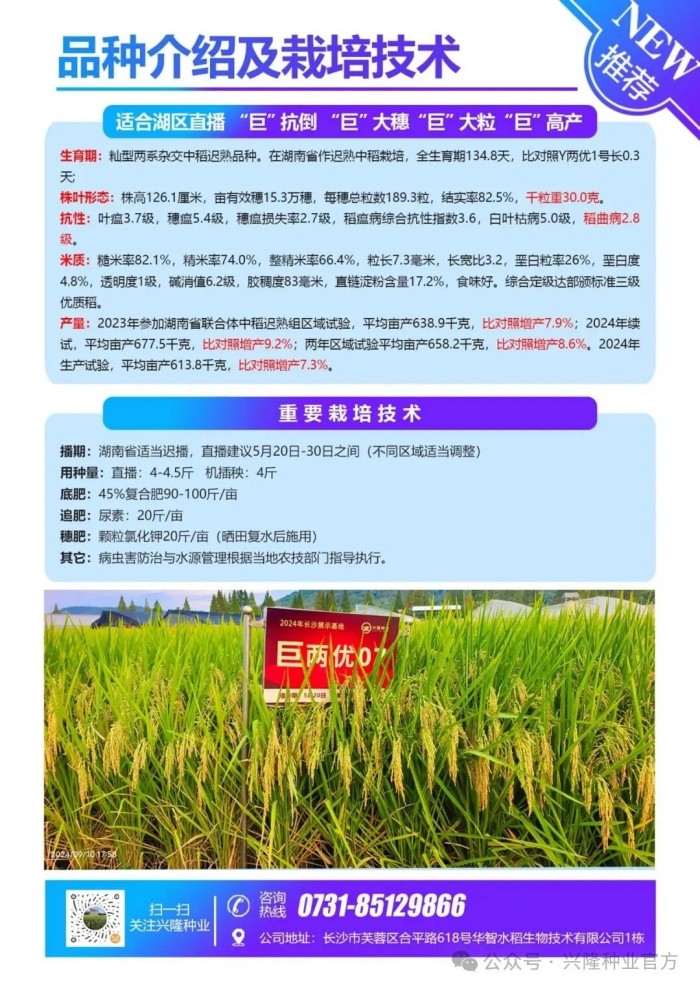 湖南兴隆种业有限公司,长沙稻谷种植与销售,长沙农作物品种的选育,长沙农业病虫害防治服务