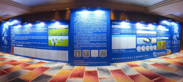 湖南兴隆种业有限公司,长沙稻谷种植与销售,长沙农作物品种的选育,长沙农业病虫害防治服务