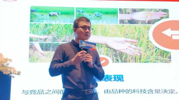 湖南兴隆种业有限公司,长沙稻谷种植与销售,长沙农作物品种的选育,长沙农业病虫害防治服务