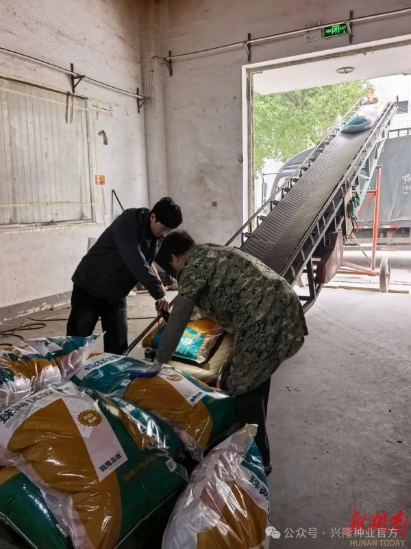 湖南兴隆种业有限公司,长沙稻谷种植与销售,长沙农作物品种的选育,长沙农业病虫害防治服务