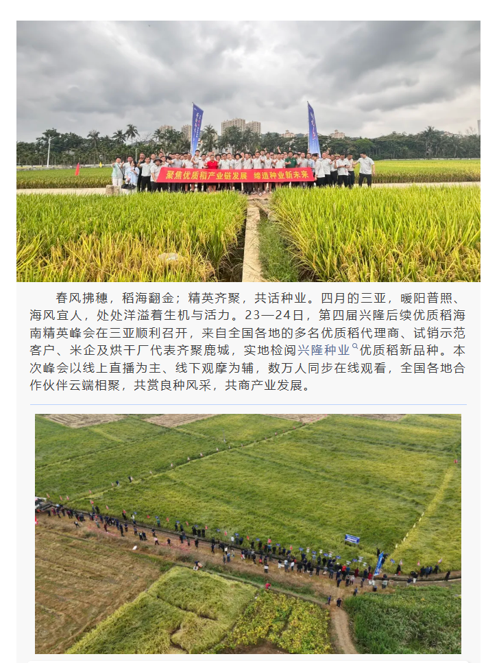 湖南兴隆种业有限公司,长沙稻谷种植与销售,长沙农作物品种的选育,长沙农业病虫害防治服务