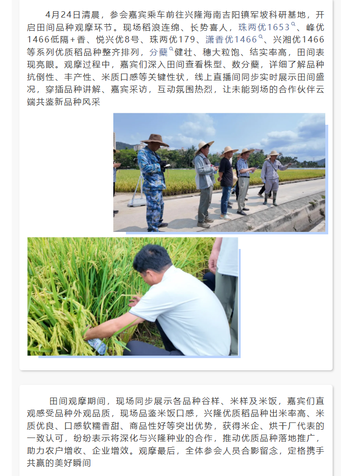 湖南兴隆种业有限公司,长沙稻谷种植与销售,长沙农作物品种的选育,长沙农业病虫害防治服务